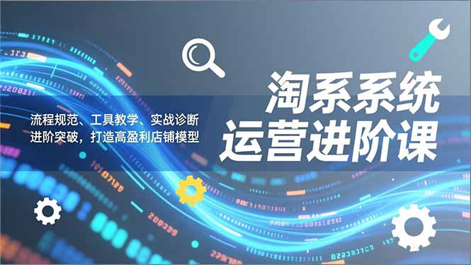 淘系系统运营进阶课2.0，流程规范、工具教学、实战诊断，进阶突破，打造高盈利店铺模型-网创联盟云网创