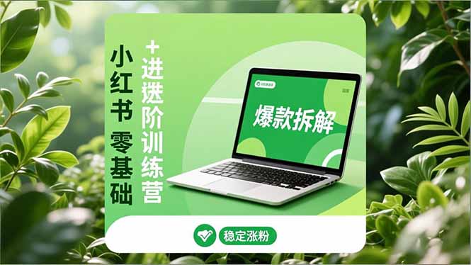 小红书零基础+高阶训练营：安全养号、爆款拆解、长效运营，实现稳定涨粉与变现-网创联盟云网创