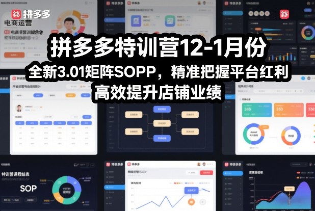 拼多多特训营12-1月份，全新3.01矩阵Sop，精准把握平台红利，高效提升店铺业绩-网创联盟云网创