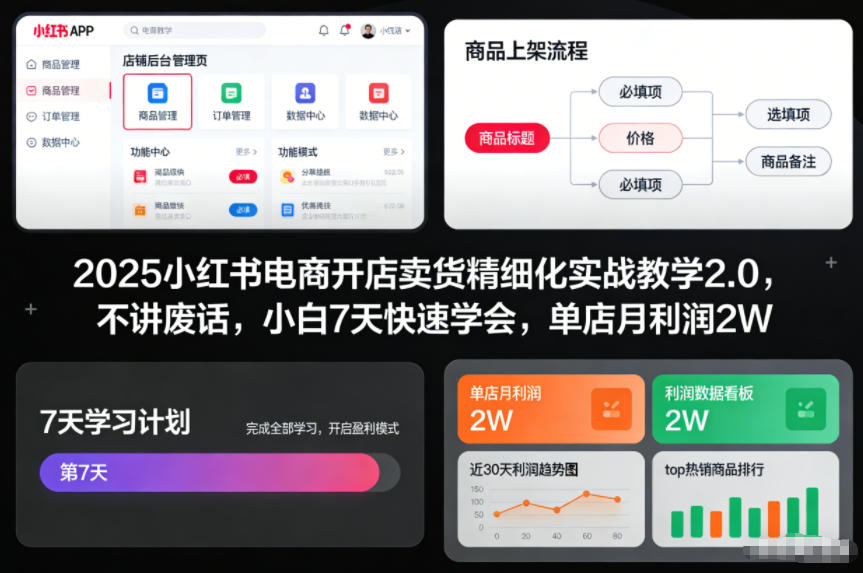 2025小红书电商开店卖货精细化实战教学2.0，不讲废话，小白7天快速学会，单店月利润2W-网创联盟云网创