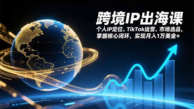 跨境IP出海课，个人IP定位、TikTok运营、市场选品，掌握核心闭环，实现月入1万美金+-网创联盟云网创