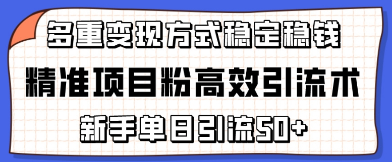 精准项目粉高效引流术，新手单日引流50+，多重变现方式稳定赚钱-网创联盟云网创