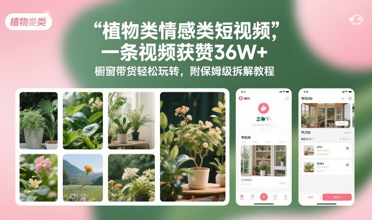 植物类情感类短视频，一条视频获赞36W+，橱窗带货轻松玩转，附保姆级拆解教程-网创联盟云网创