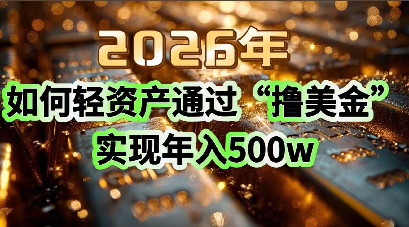 2026年如何轻资产通过“撸美金”实现年入500w-网创联盟云网创