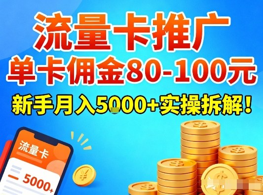 流量卡推广，单卡佣金80-100，新手月入5k+实操拆解！-网创联盟云网创