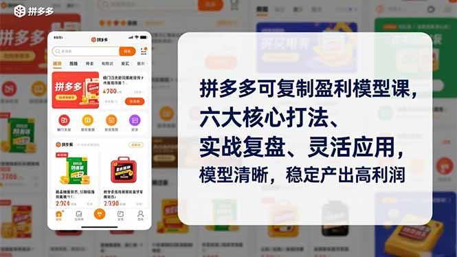 拼多多可复制盈利模型课，六大核心打法、实战复盘、灵活应用，模型清晰，稳定产出高利润-网创联盟云网创
