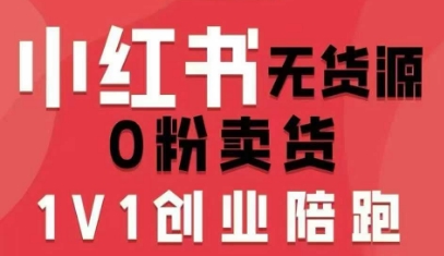 小红书无货源0粉电商课，开店准备、选品策略、笔记撰写、视频剪辑、数据分析、账号打造、资料文档(更新)-网创联盟云网创