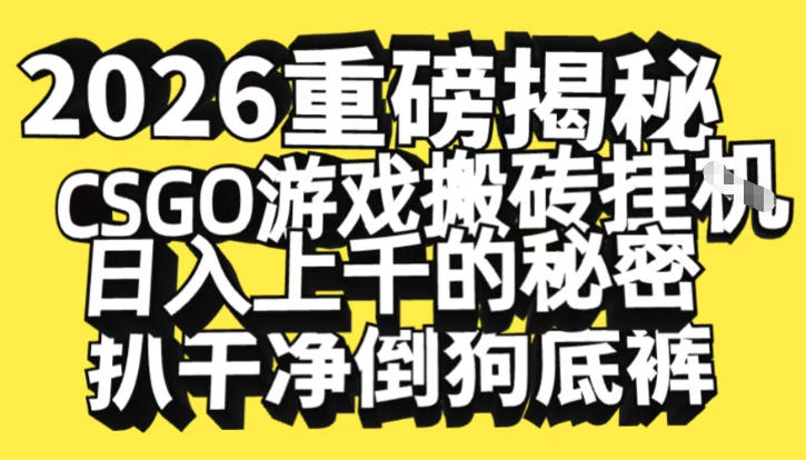 2026开年重磅解密，CSGO游戏搬砖挂G日入1k+的秘密，把倒狗的底裤扒干【揭秘】-网创联盟云网创
