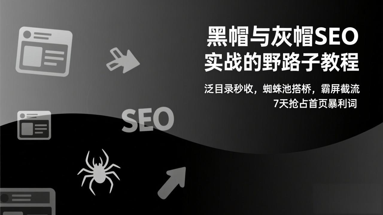 黑帽与灰帽SEO实战的野路子教程：泛目录秒收，蜘蛛池搭桥，霸屏截流，7天抢占首页暴利词-网创联盟云网创