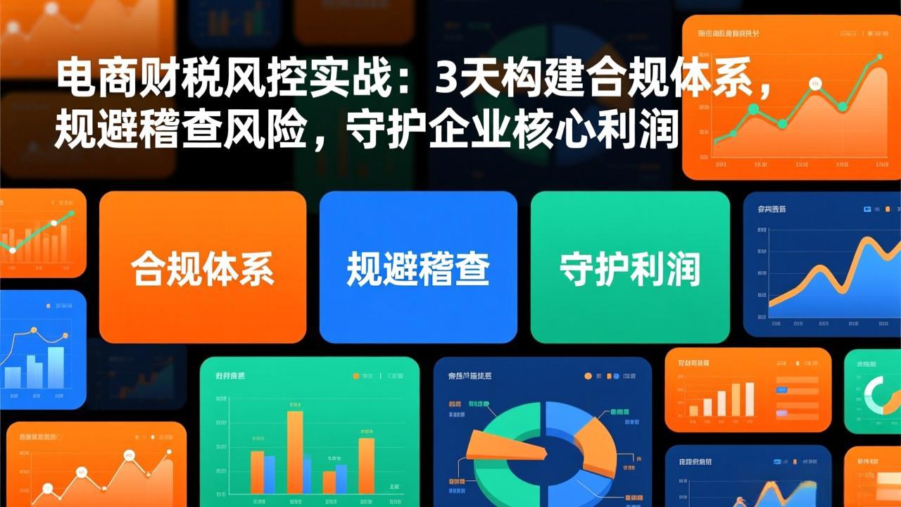 电商财税风控实战：3天构建合规体系，规避稽查风险，守护企业核心利润-网创联盟云网创