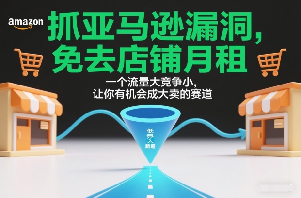 抓亚马逊漏洞，免去店铺月租，一个流量大竞争小，让你有机会成大卖的赛道-网创联盟云网创
