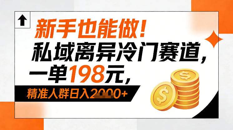 新手也能做！私域离异冷门赛道，一单198，精准人群日入1k+-网创联盟云网创